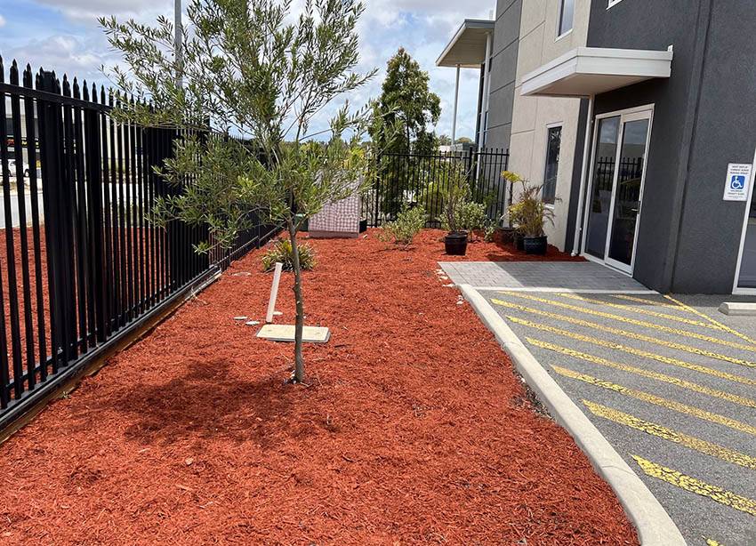 Commercial and strata landscaping & mulching services